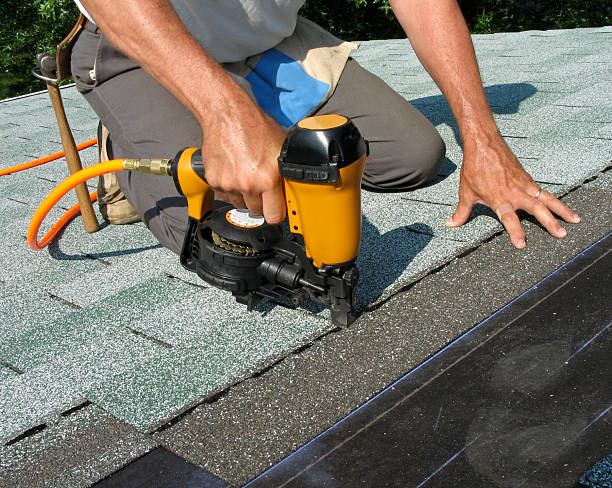 Best Roof Gutter Cleaning  in Mendenhall, MS